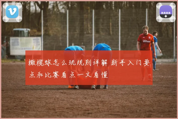 橄榄球怎么玩规则详解 新手入门要点和比赛看点一文看懂
